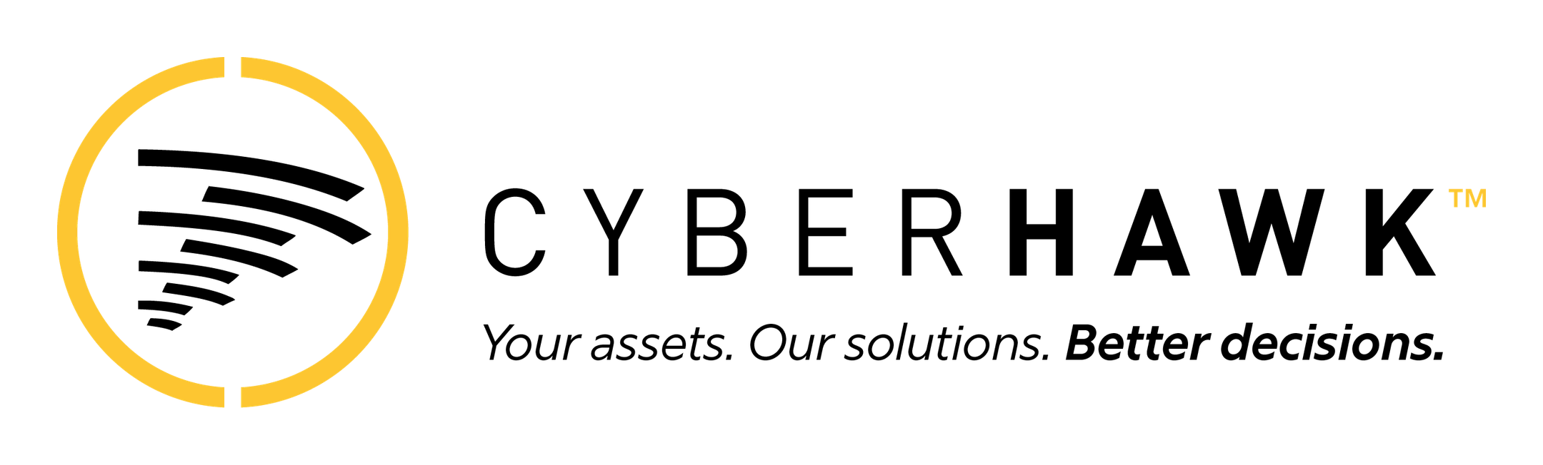 Cyberhawk logo